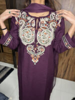 Rayon Embroidered suit - Image 2